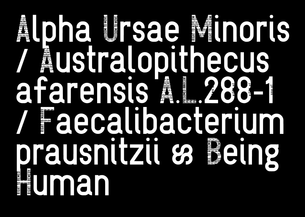 Symbiotic Fonts
